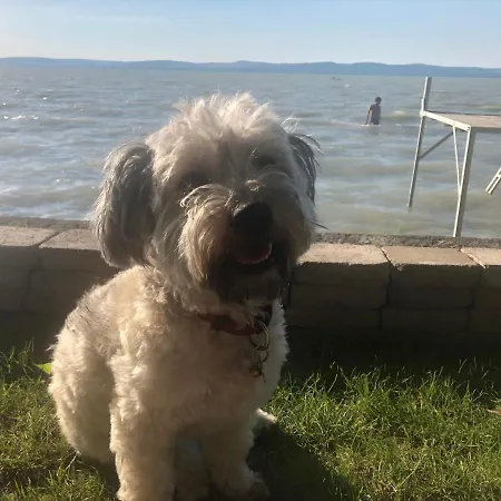 Topartihaz Hébergement de vacances *