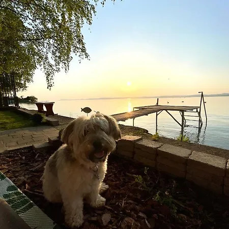 Дом отдыха Topartihaz *