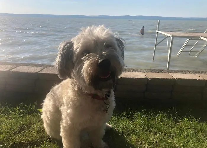 Tópartiház Сasa de vacaciones *