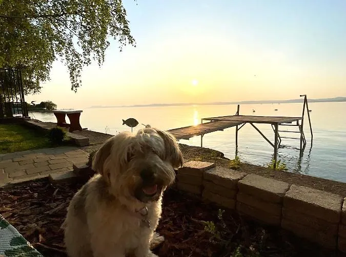 Сasa de vacaciones Tópartiház *